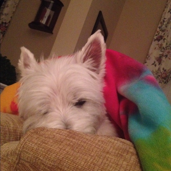 Meet your Posher, Smith - Picture 1 of 1